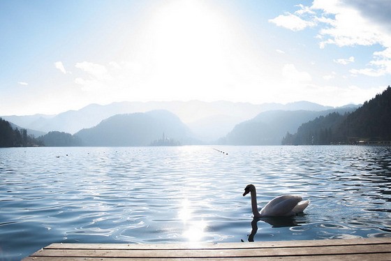 luxury guide to lake bled 