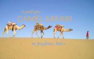camel safari in Jaisalmer