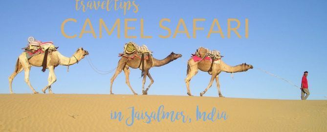 camel safari in Jaisalmer