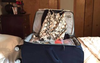 Luggage Review: Ricardo Beverly Hills Mar Vista