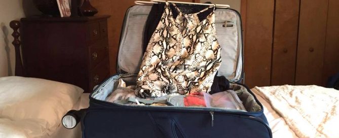 Luggage Review: Ricardo Beverly Hills Mar Vista