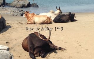 This is India! 143