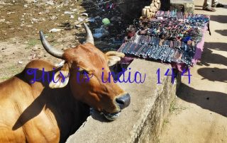 This is India! 144