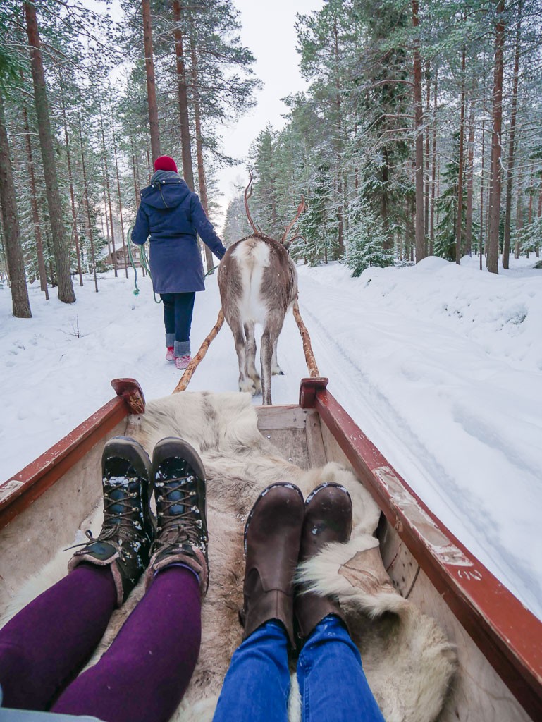 Visit a Reindeer Farm in Finland