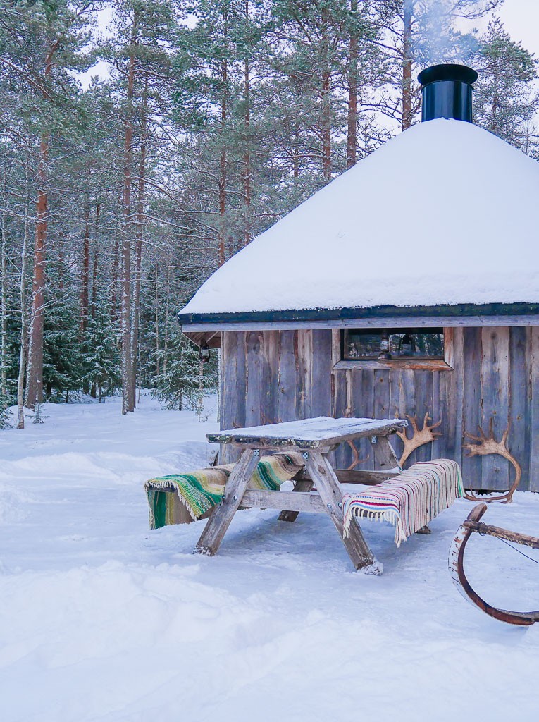 Visit a Reindeer Farm in Finland