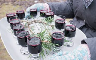 nature near helsinki