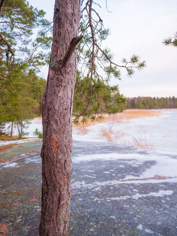 nature near helsinki