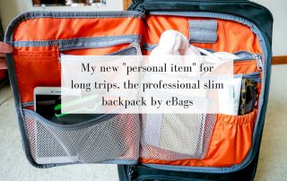 Review of the eBags Professional Slim Laptop Backpack