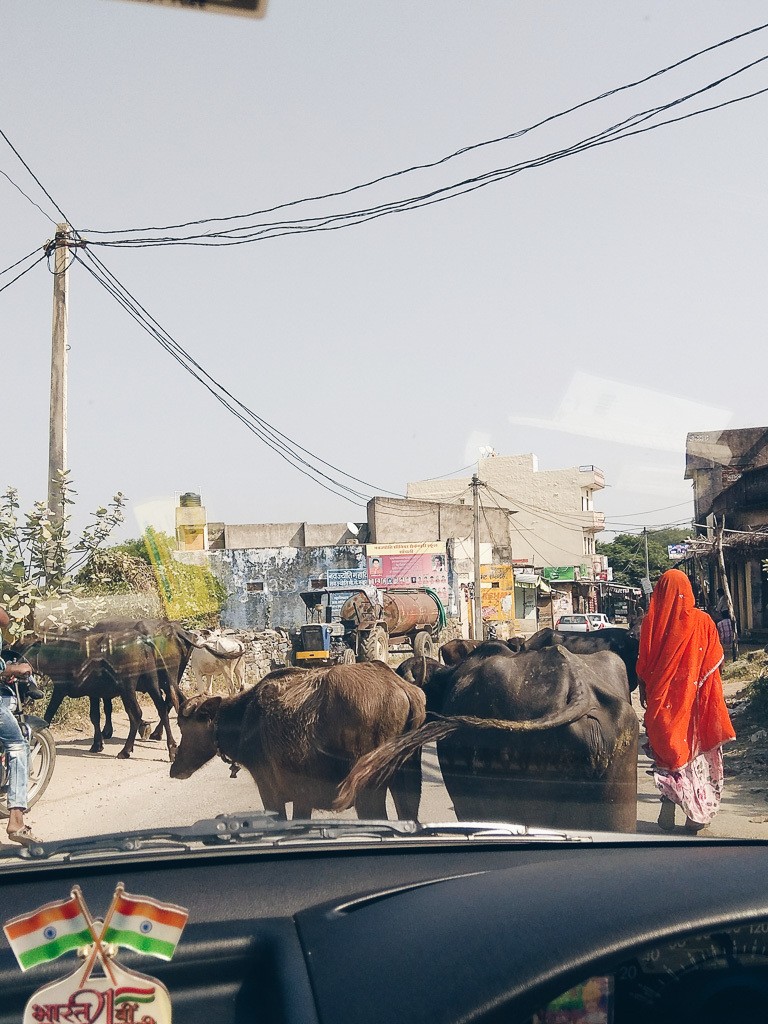 jodhpur india