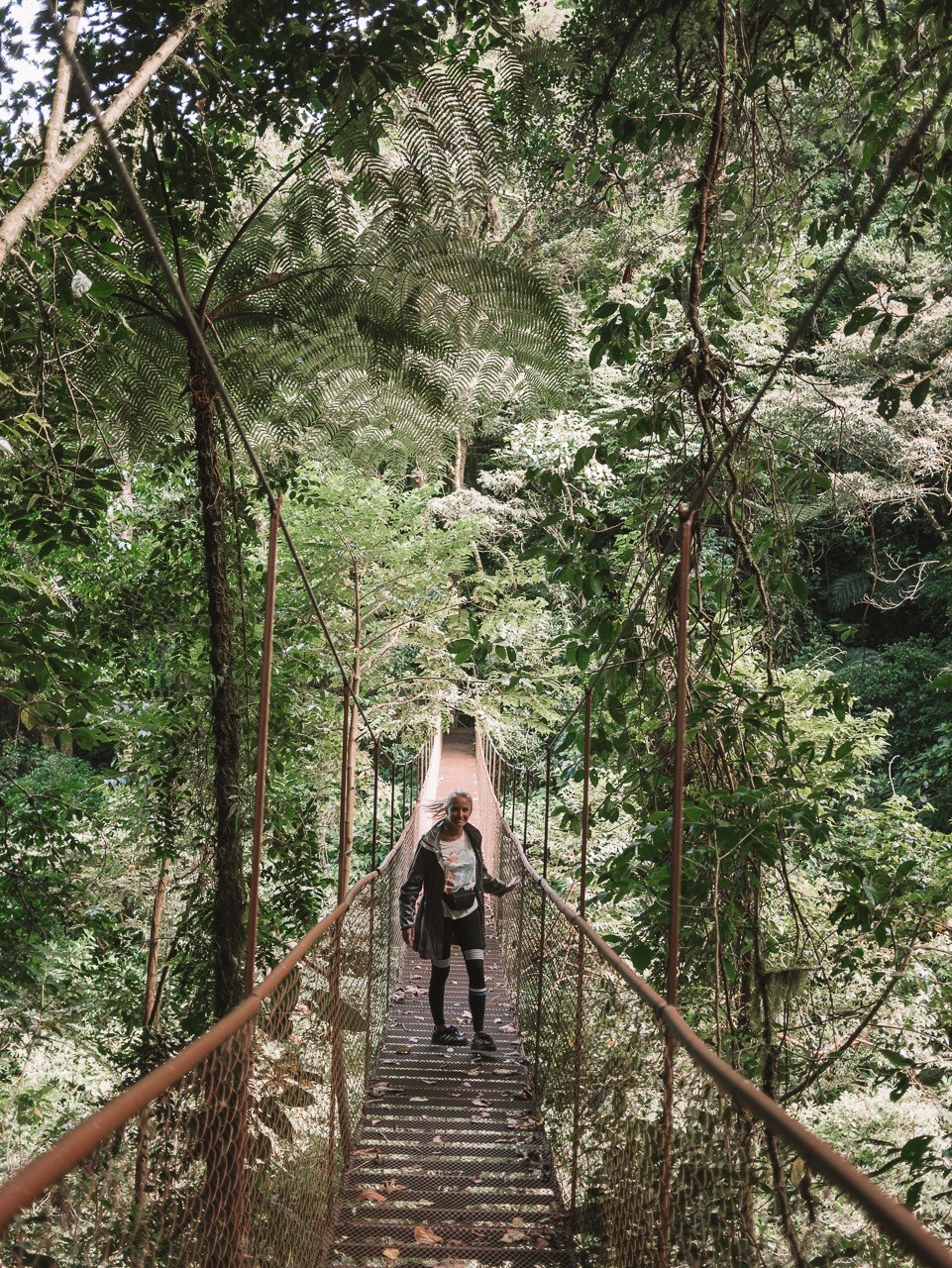 things to do in boquete shopping