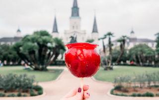 experiences in new orleans