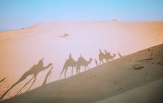 places to visit in jaisalmer