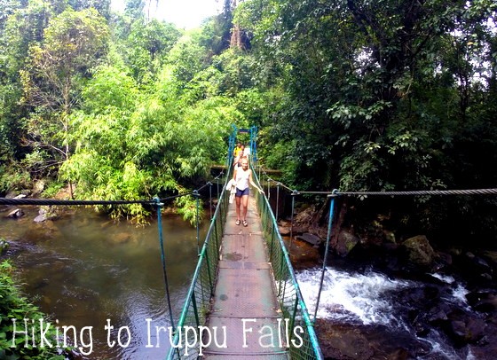 backpacking coorg iruppu falls