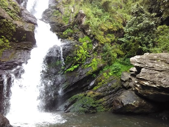 backpacking coorg iruppu falls