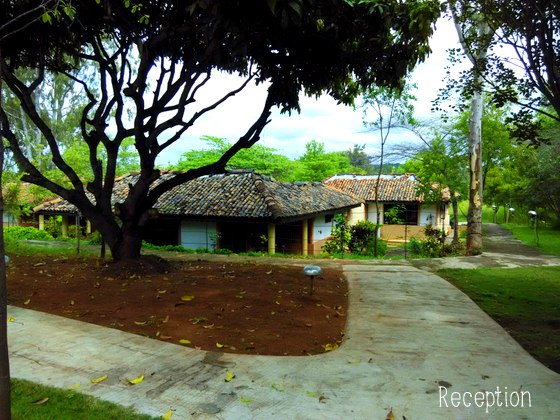 indus valley ayurvedic center