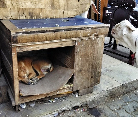 chor bazaar mumbai