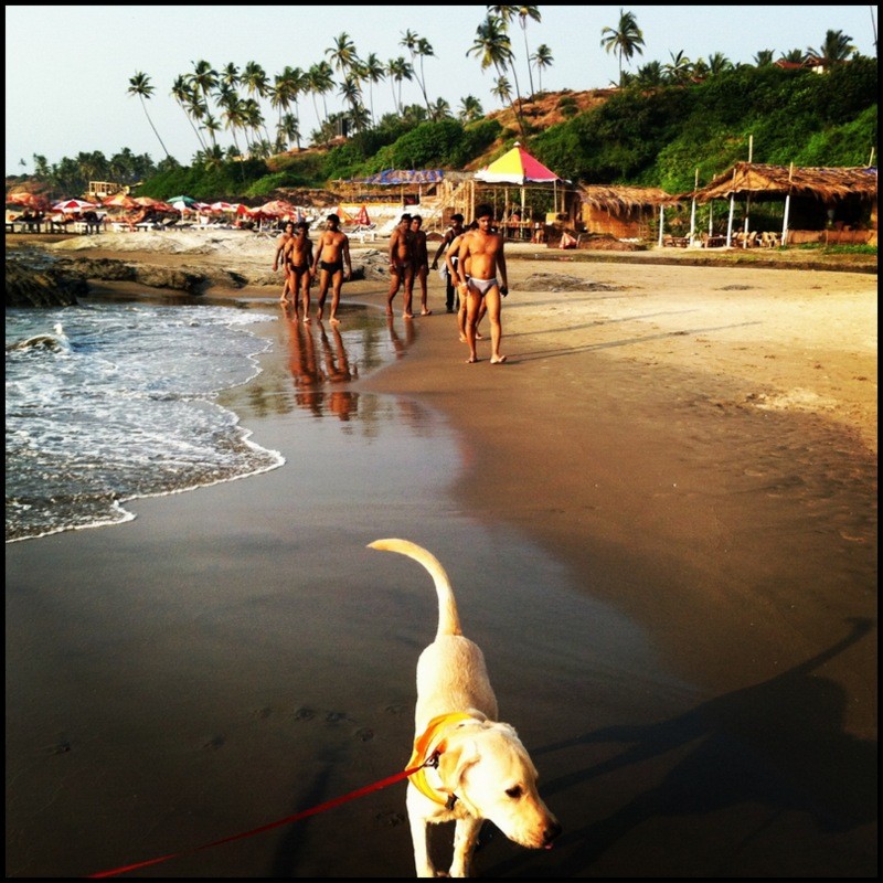 goa monsoon