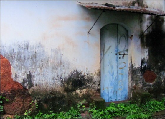 olaulim backyards the other side of goa