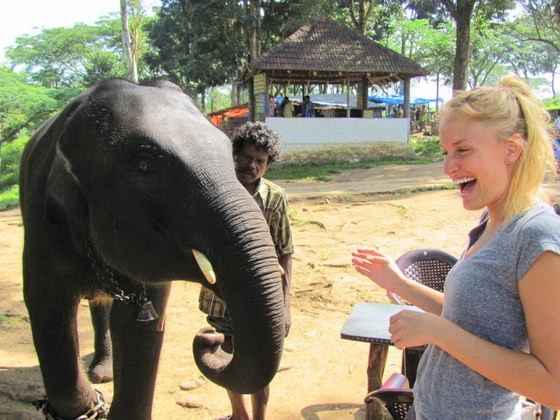 bathing elephants in india